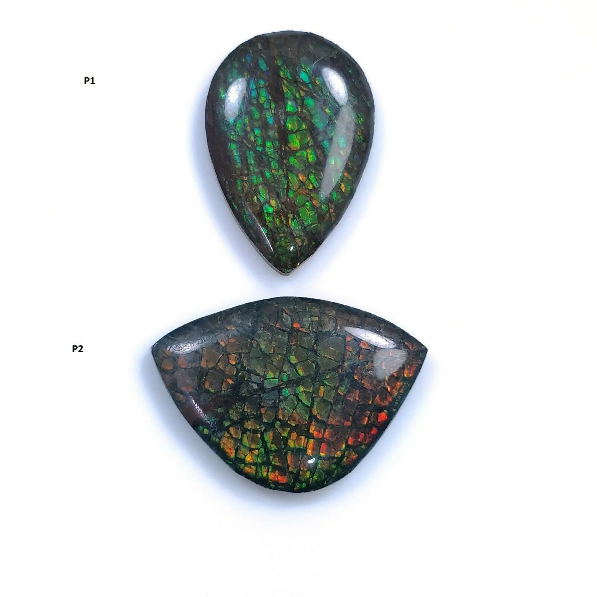 AMMOLITE Gemstone Cabochon : Natural Fossilized Shell Bi-Color Ammolite Uneven Shape Cabochon 17.5*25mm -  22*16mm 1pc