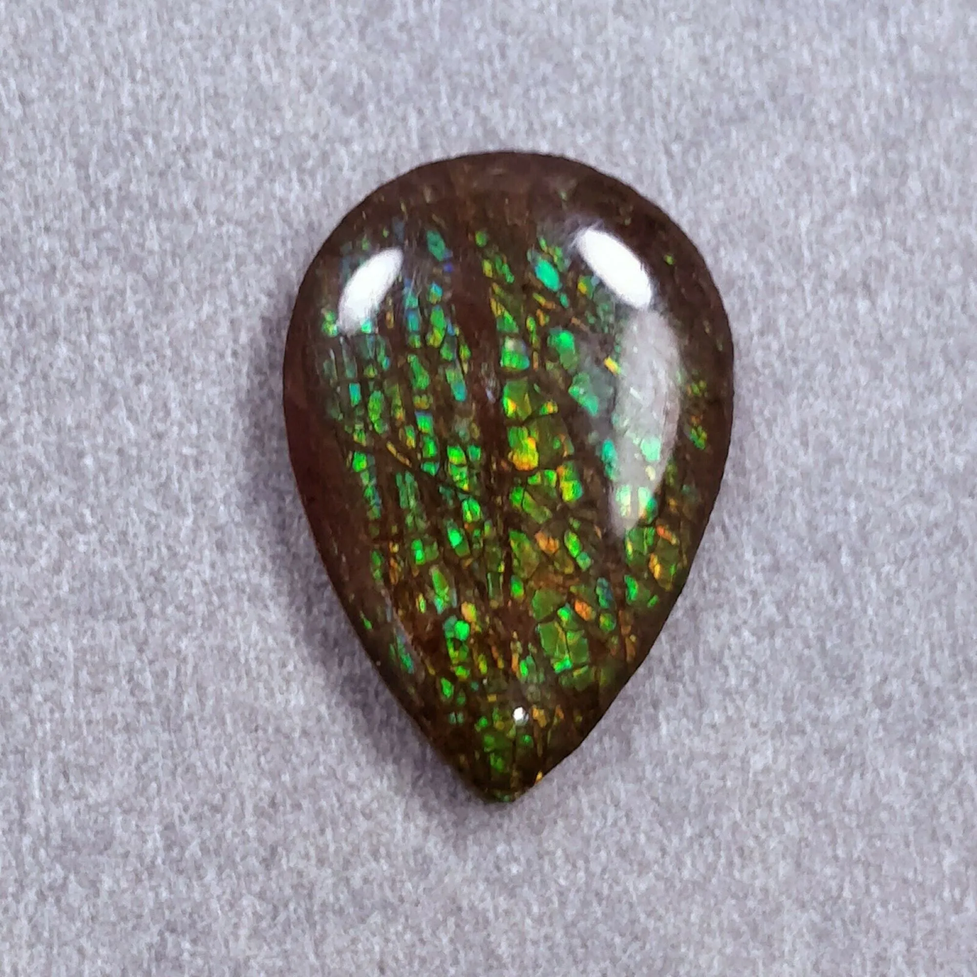 AMMOLITE Gemstone Cabochon : Natural Fossilized Shell Bi-Color Ammolite Uneven Shape Cabochon 17.5*25mm -  22*16mm 1pc