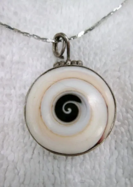 Chambered Nautilus Sterling Silver Mermaid Seashell NECKLACE CHOKER Collar Jewelry Pendant Statement