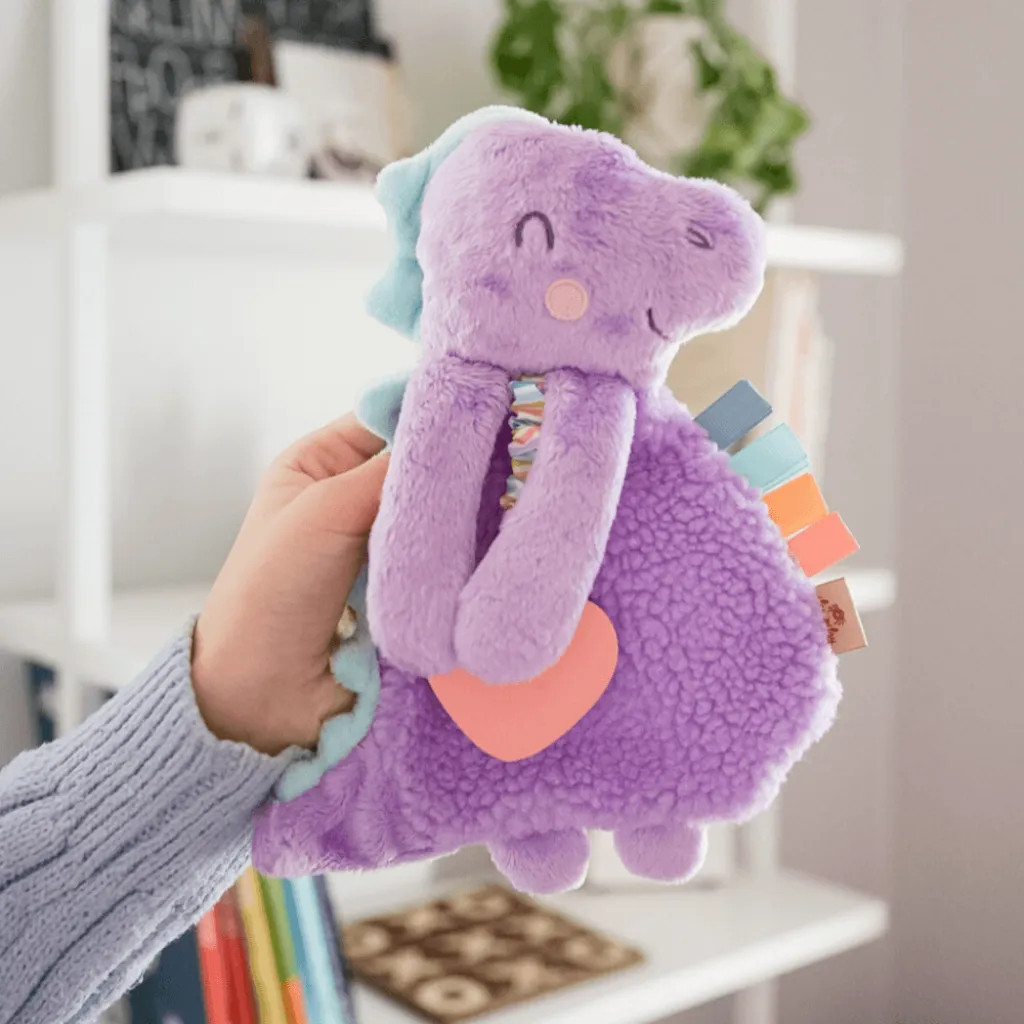 Itzy Lovey™ Plush and Teether Toy