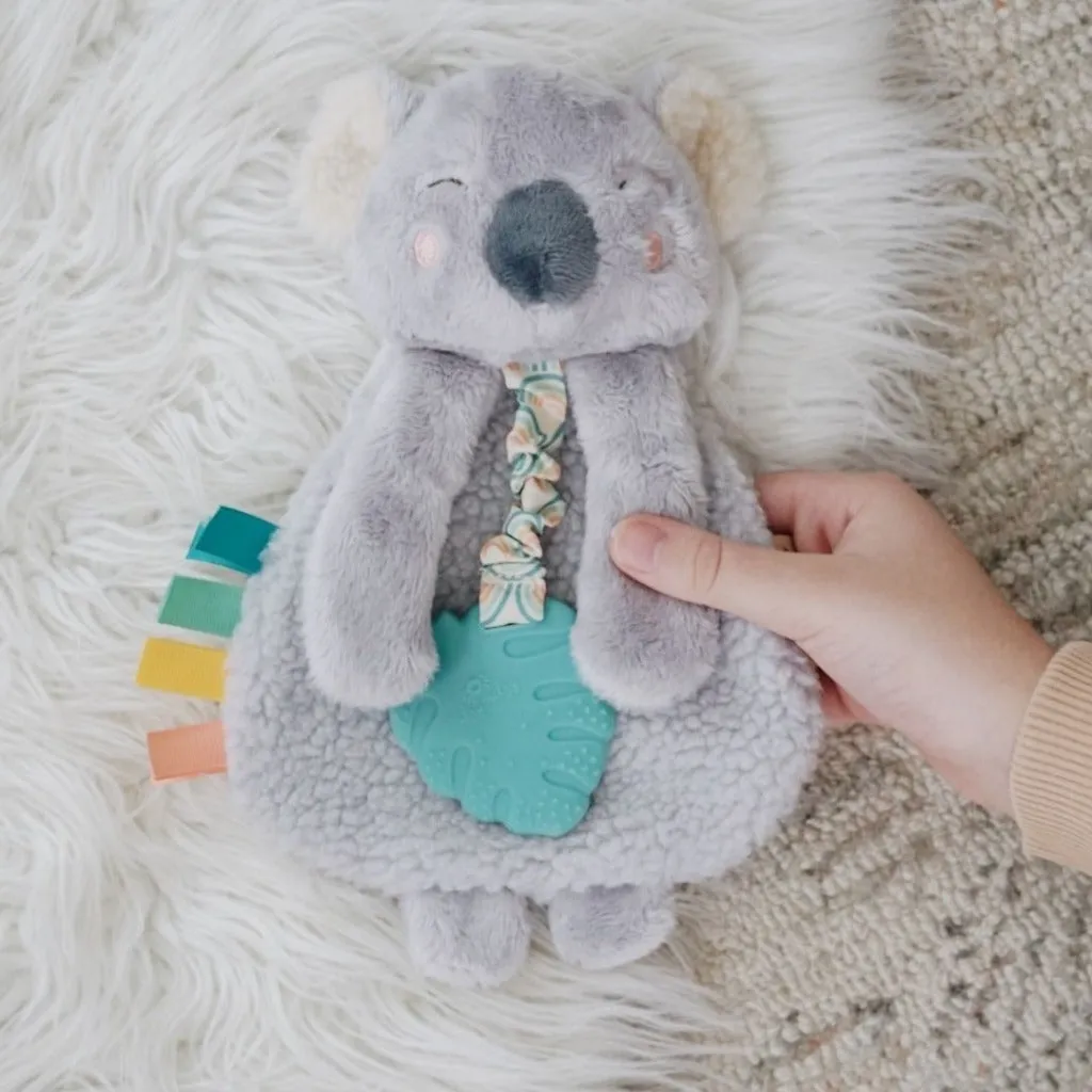 Itzy Lovey™ Plush and Teether Toy