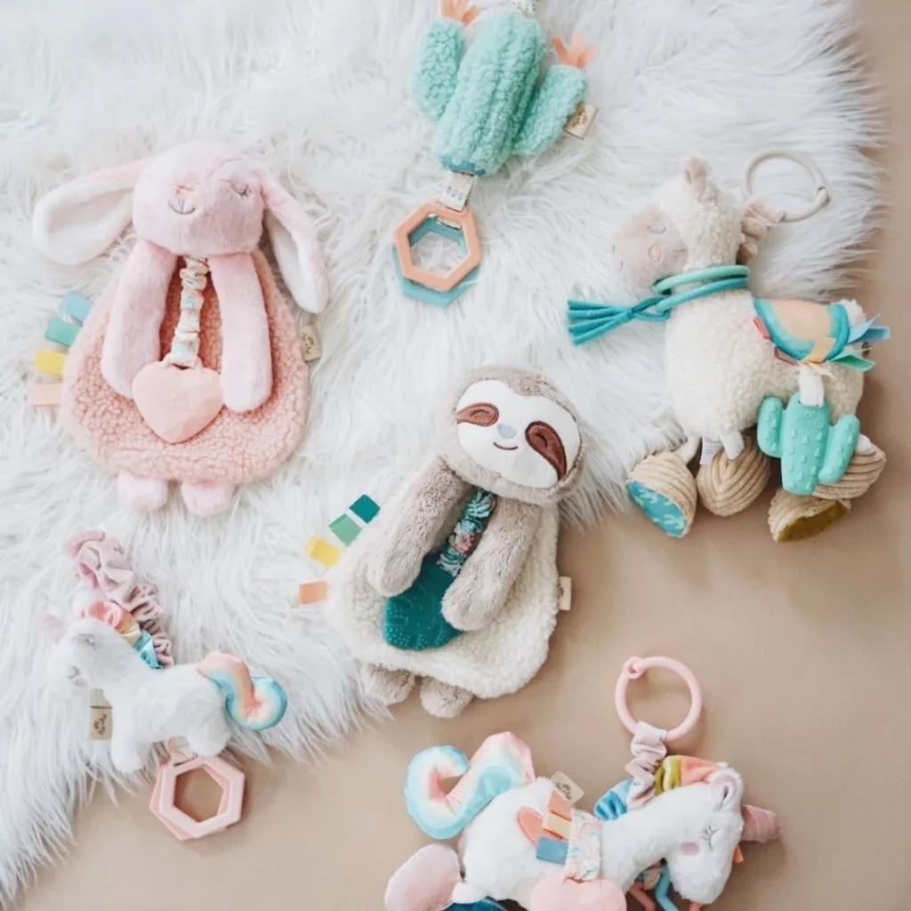 Itzy Lovey™ Plush and Teether Toy