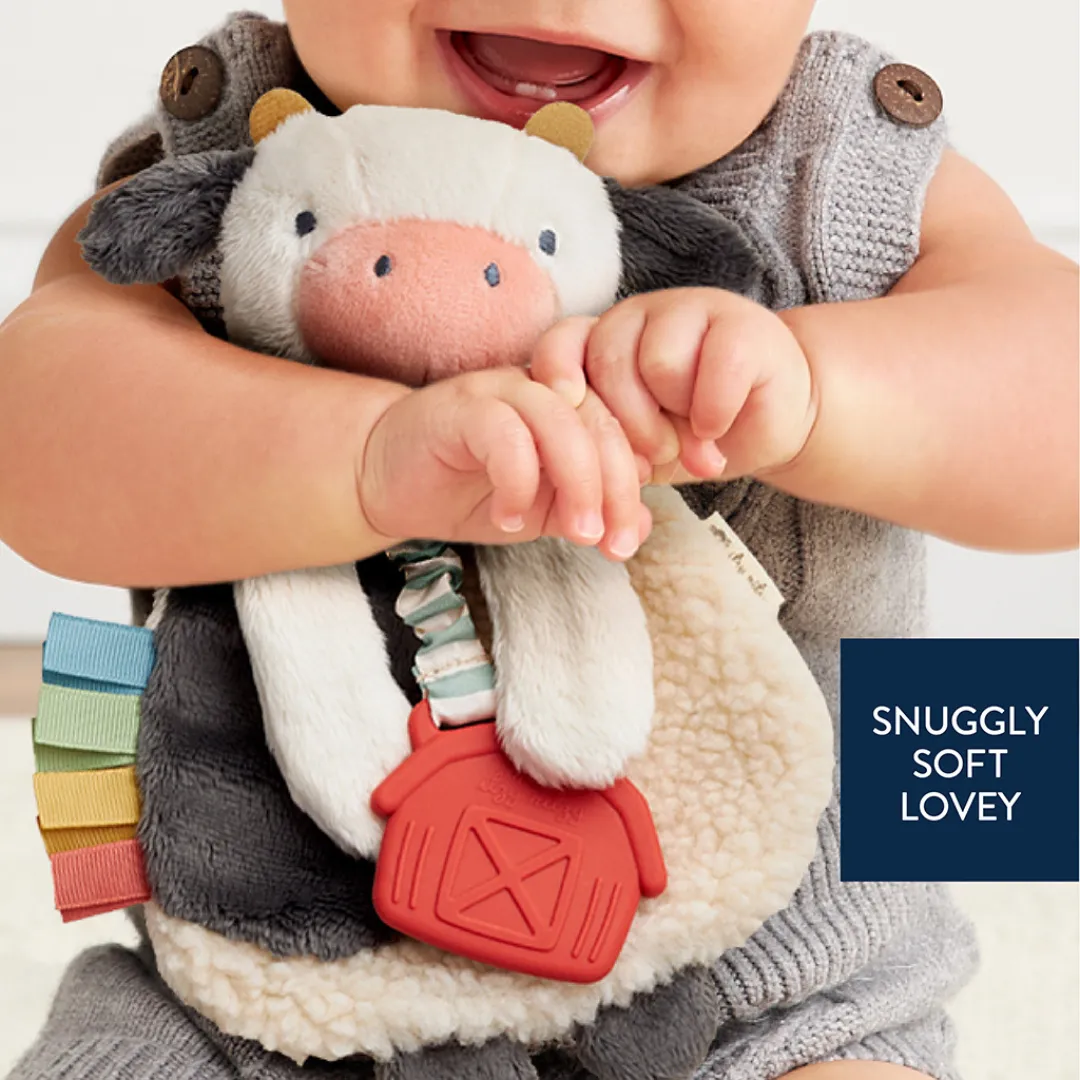 Itzy Lovey™ Plush and Teether Toy