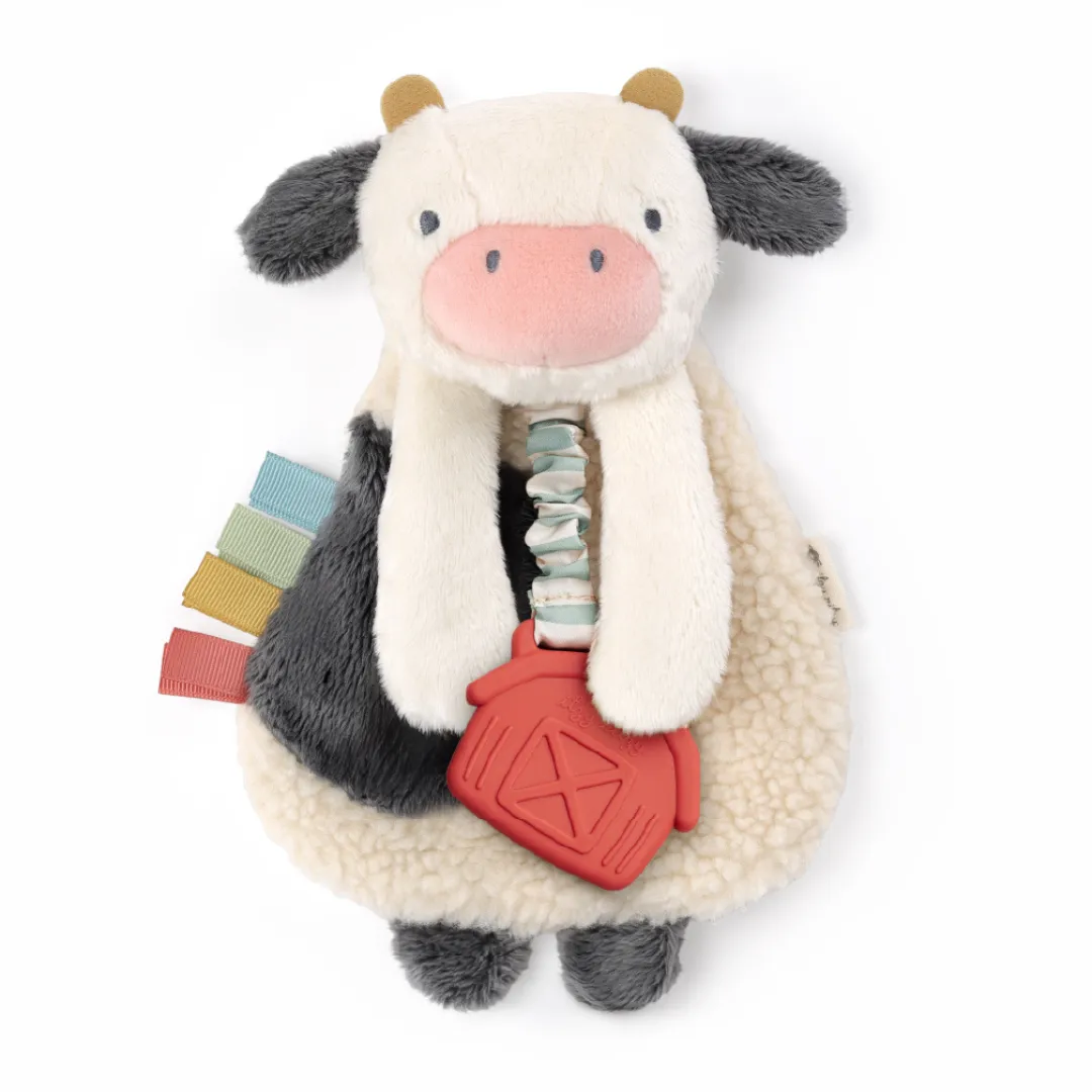 Itzy Lovey™ Plush and Teether Toy