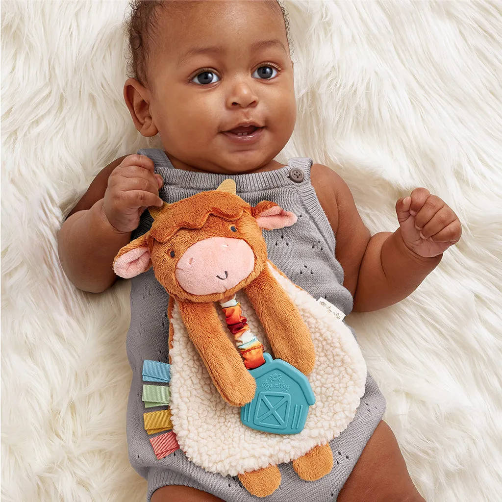 Itzy Lovey™ Plush and Teether Toy