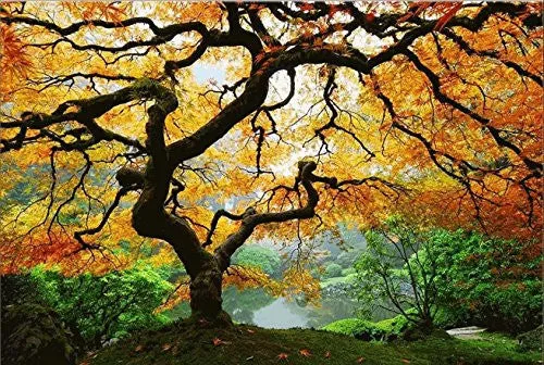 STARTONIGHT CANVAS WALL ART MAPLE TREE, NATURE USA DESIGN FOR HOME DECOR, DUAL VIEW SURPRISE ARTWORK MODERN FRAMED READY TO HANG WALL ART 31.5 X 47.2 INCH 100% ORIGINAL ART PAINTING!